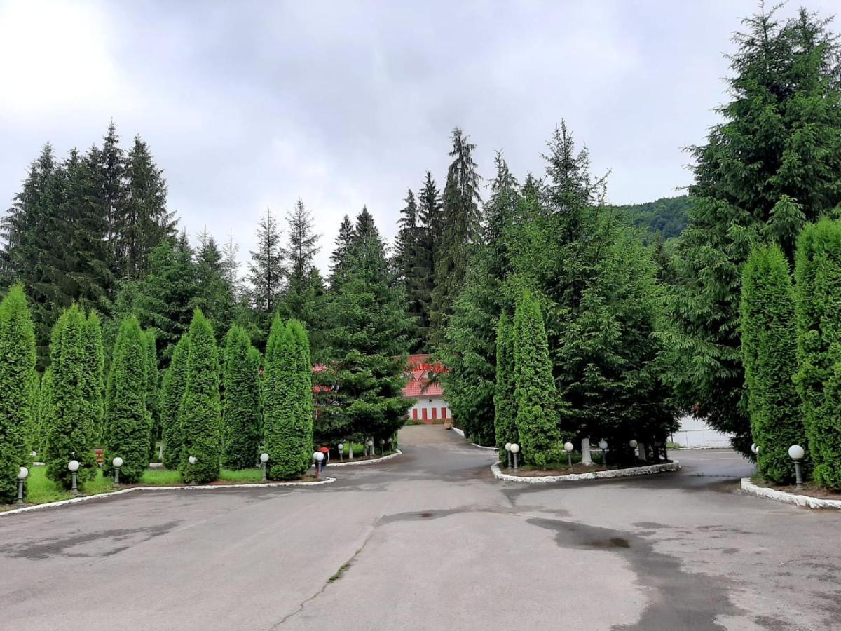 Casute Valea Zanelor Hotel Kovászna Kültér fotó