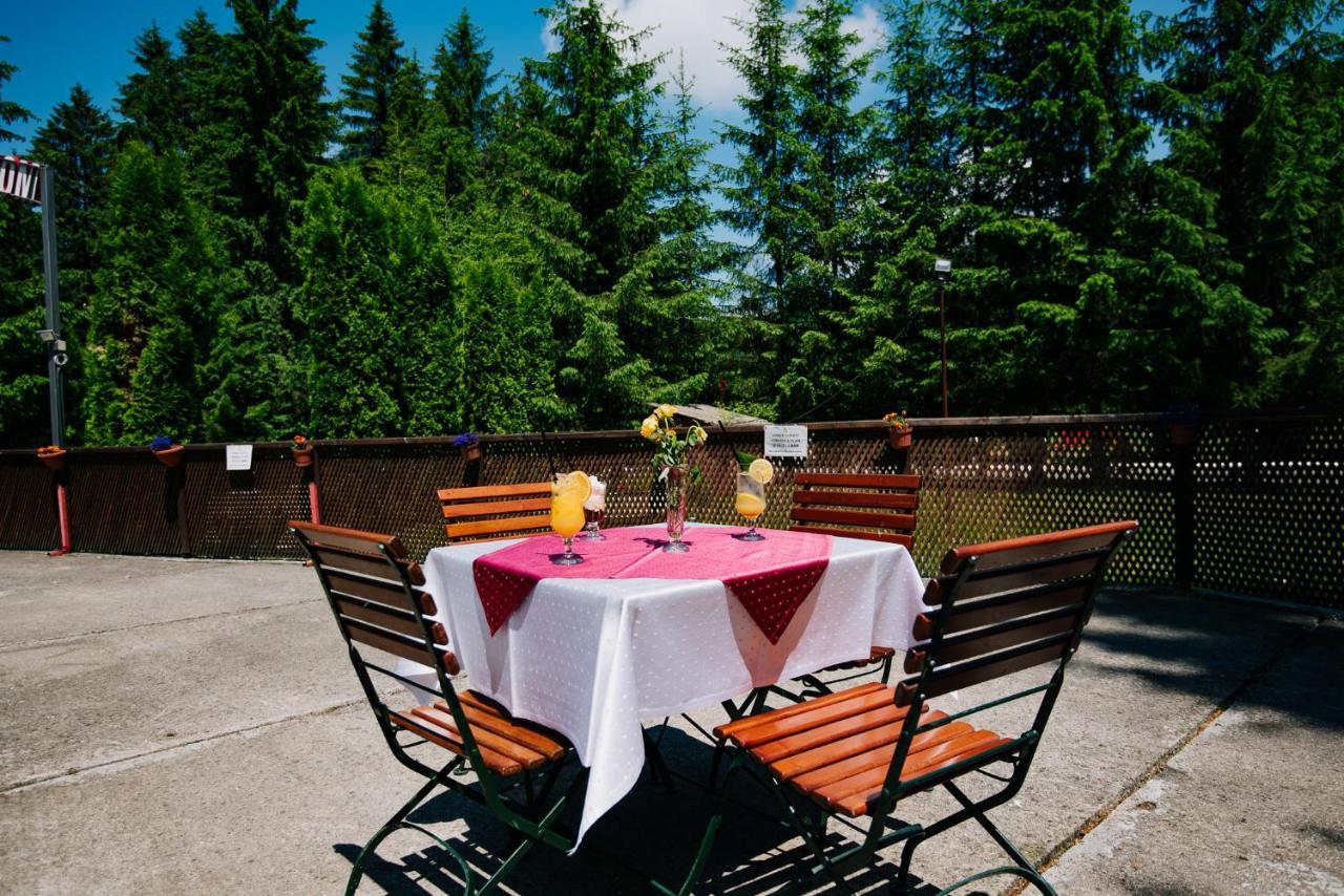 Casute Valea Zanelor Hotel Kovászna Kültér fotó