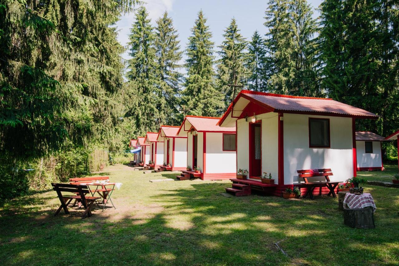 Casute Valea Zanelor Hotel Kovászna Kültér fotó